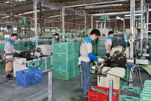 懷文抱質(zhì)，匠心木魂 陽江竹木企業(yè)以工業(yè)酶制劑研發(fā)引領(lǐng)粵東西北外貿(mào)出口